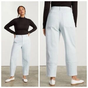Everlane Women's Light Blue Utility Barrel Pants